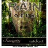 CD - Rain Forest.